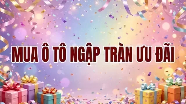 Địa điểm hỗ trợ xem xe tại Tây Ninh